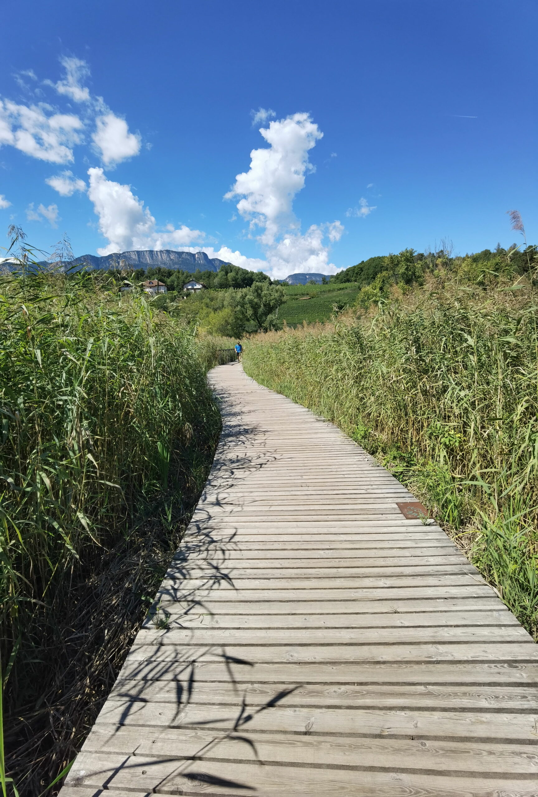 Montiggler See wandern