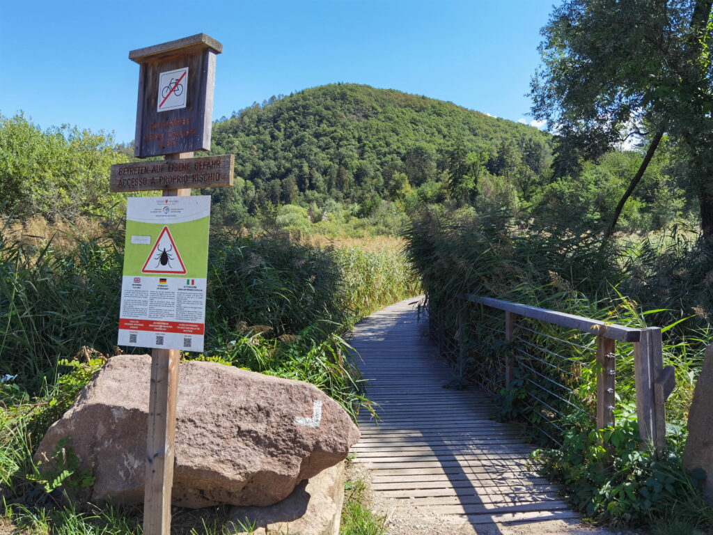 Montiggler See Wanderung - der Holzsteg durch das Moor