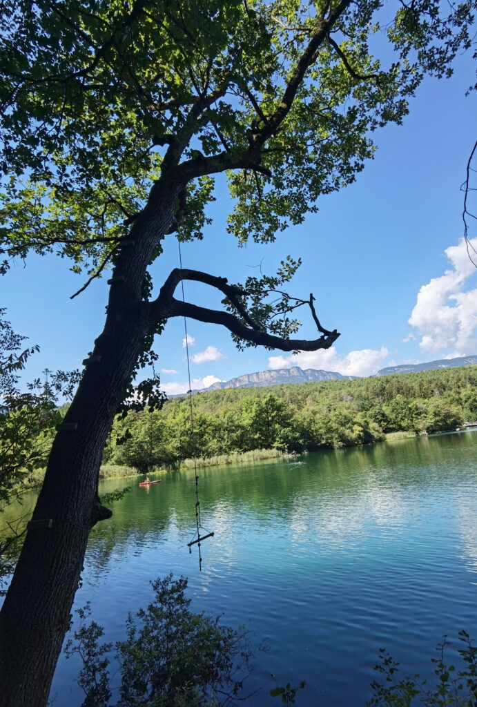 Kleiner Montiggler See - wild baden und vom Baum ins Wasser?