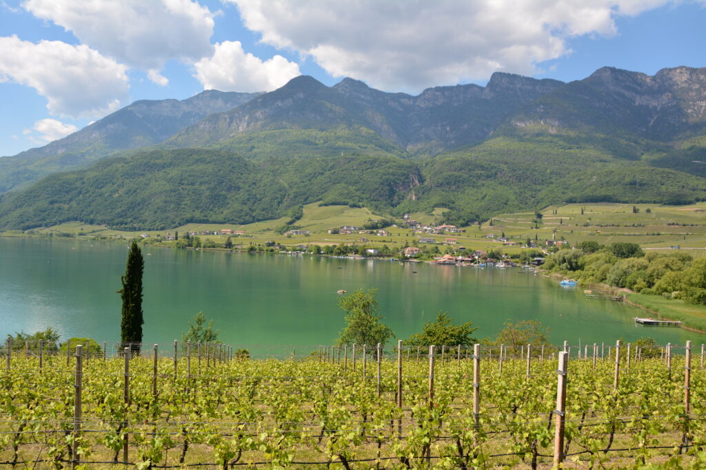 Die Landschaft rund um den Kalterer See ist geprägt von den Weinbergen