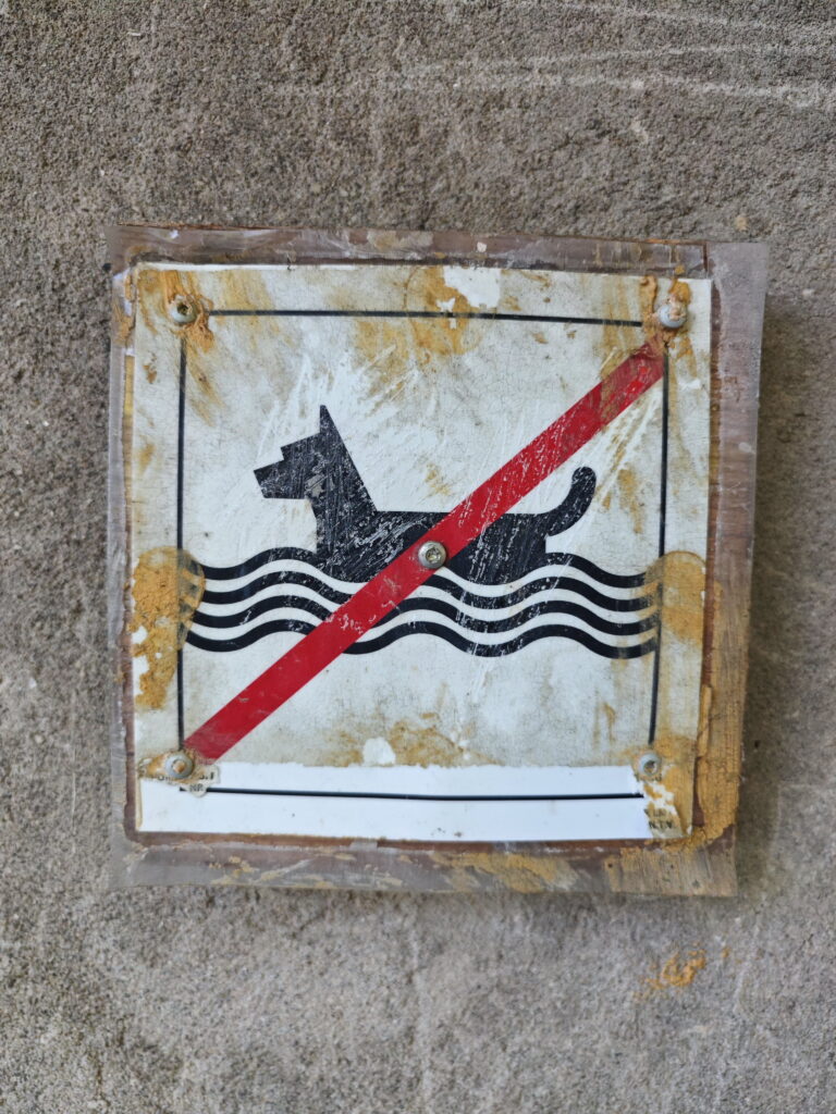 Montiggler See mit Hund - das solltest du wissen